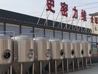 呼玛精酿啤酒设备厂—如何判断精酿啤酒设备的密封件需要更换？